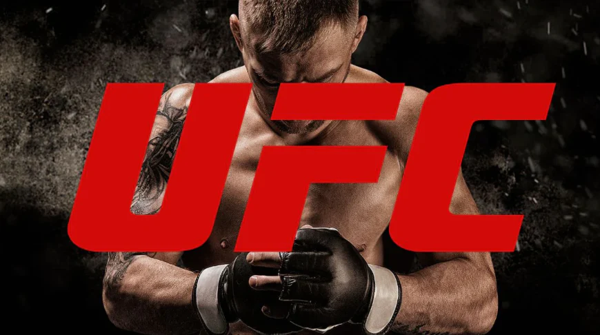 Lutas (UFC)